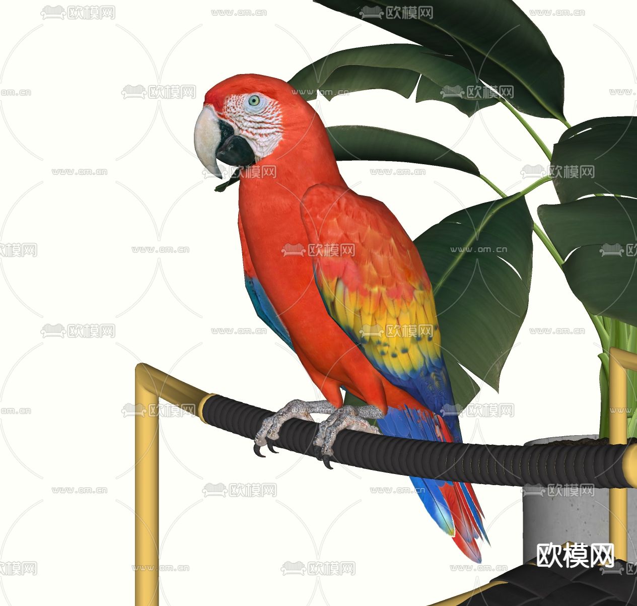 现代鹦鹉 小鸟su模型下载（渲染图2）
