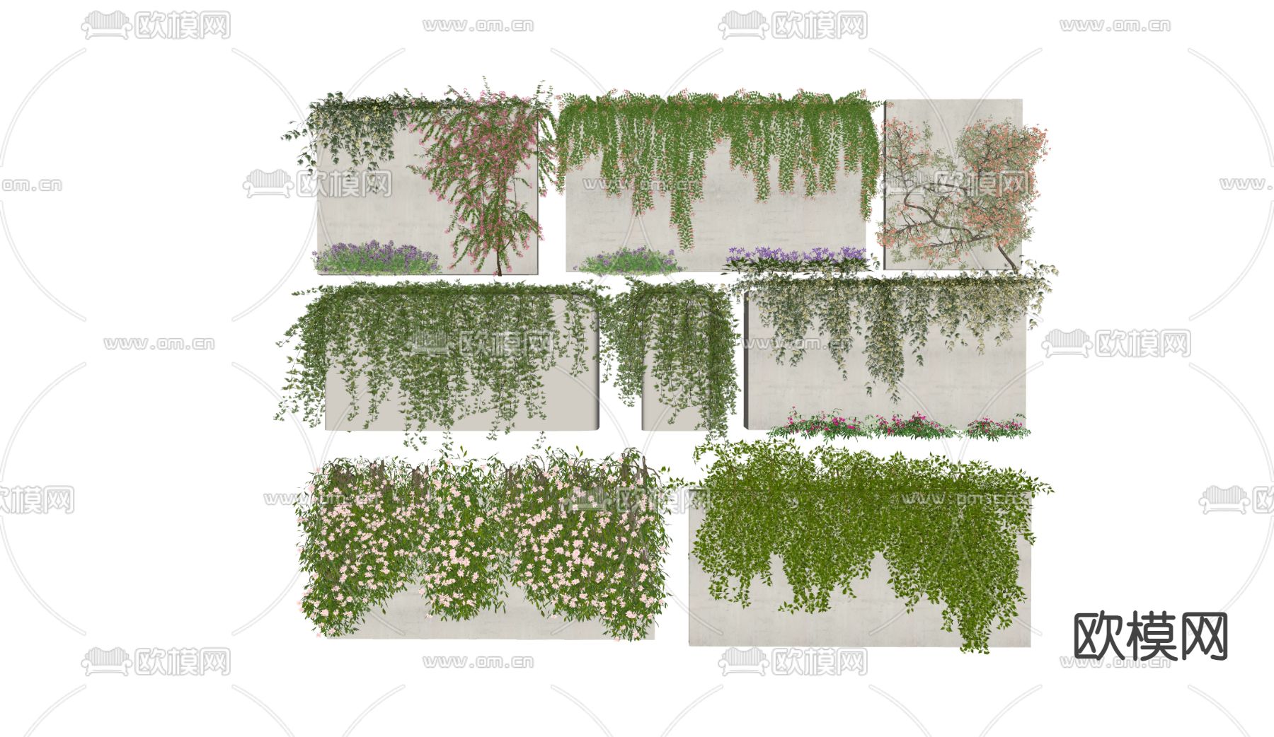 绿植藤蔓 藤蔓植物su模型下载（渲染图2）