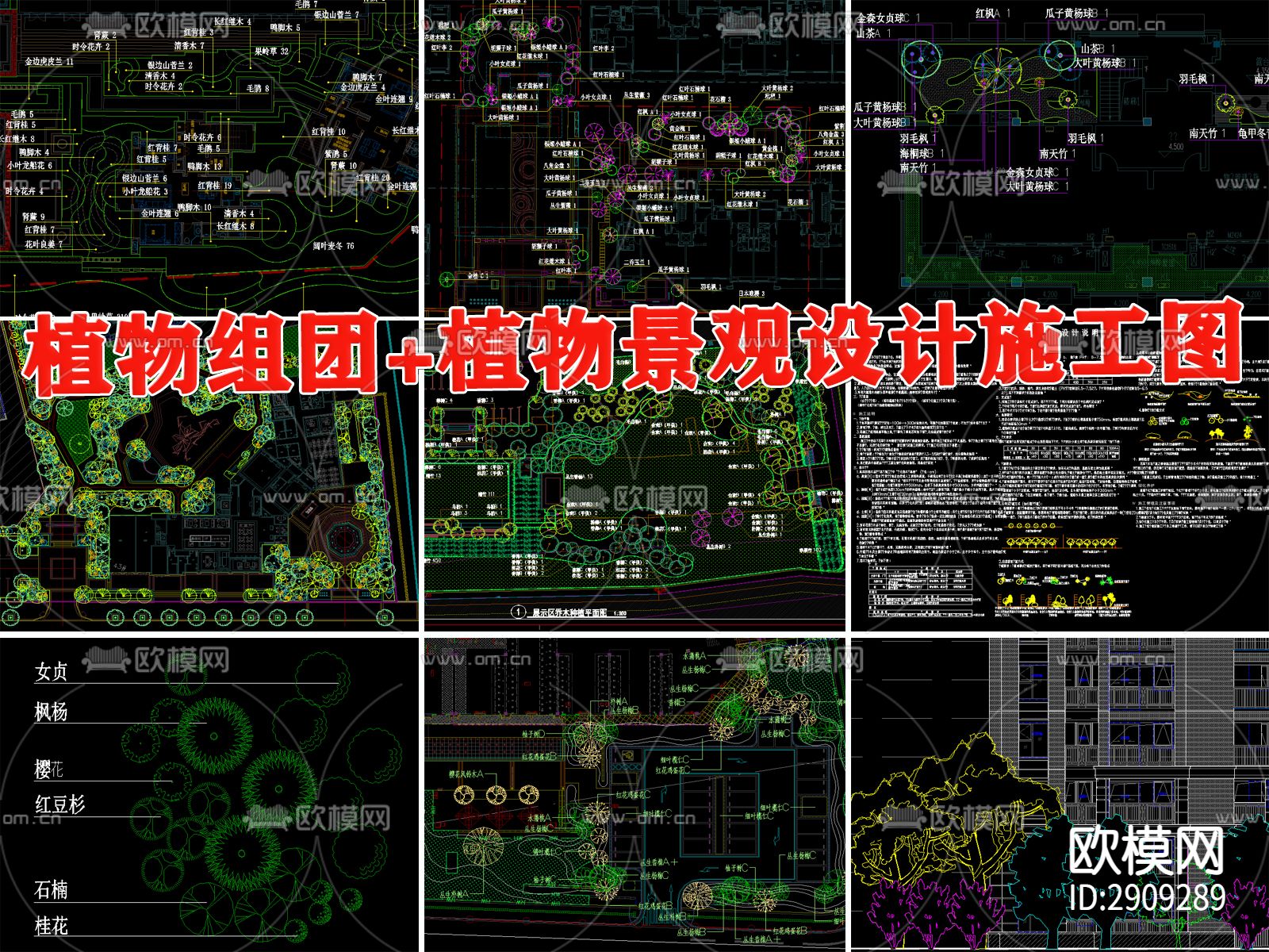 植物组图 植物景观设计下载（渲染图1）