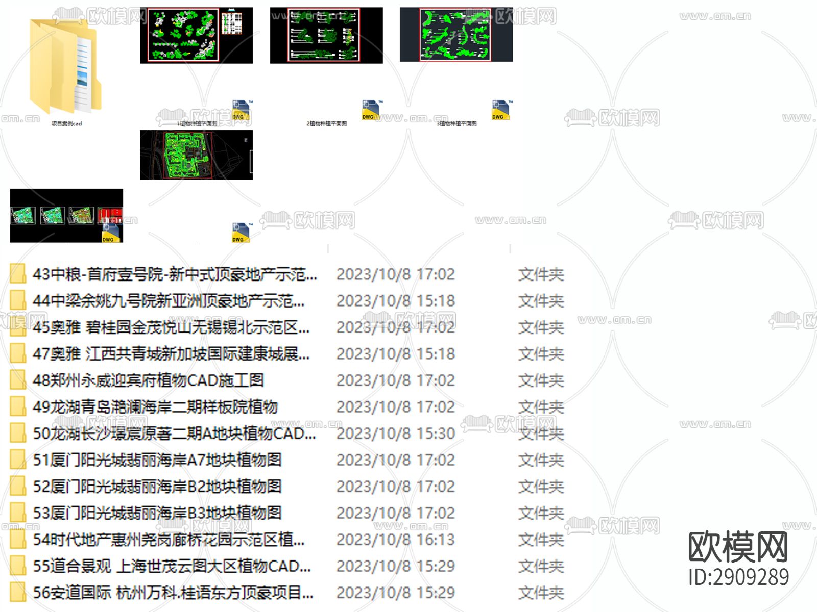 植物组图 植物景观设计下载（渲染图9）