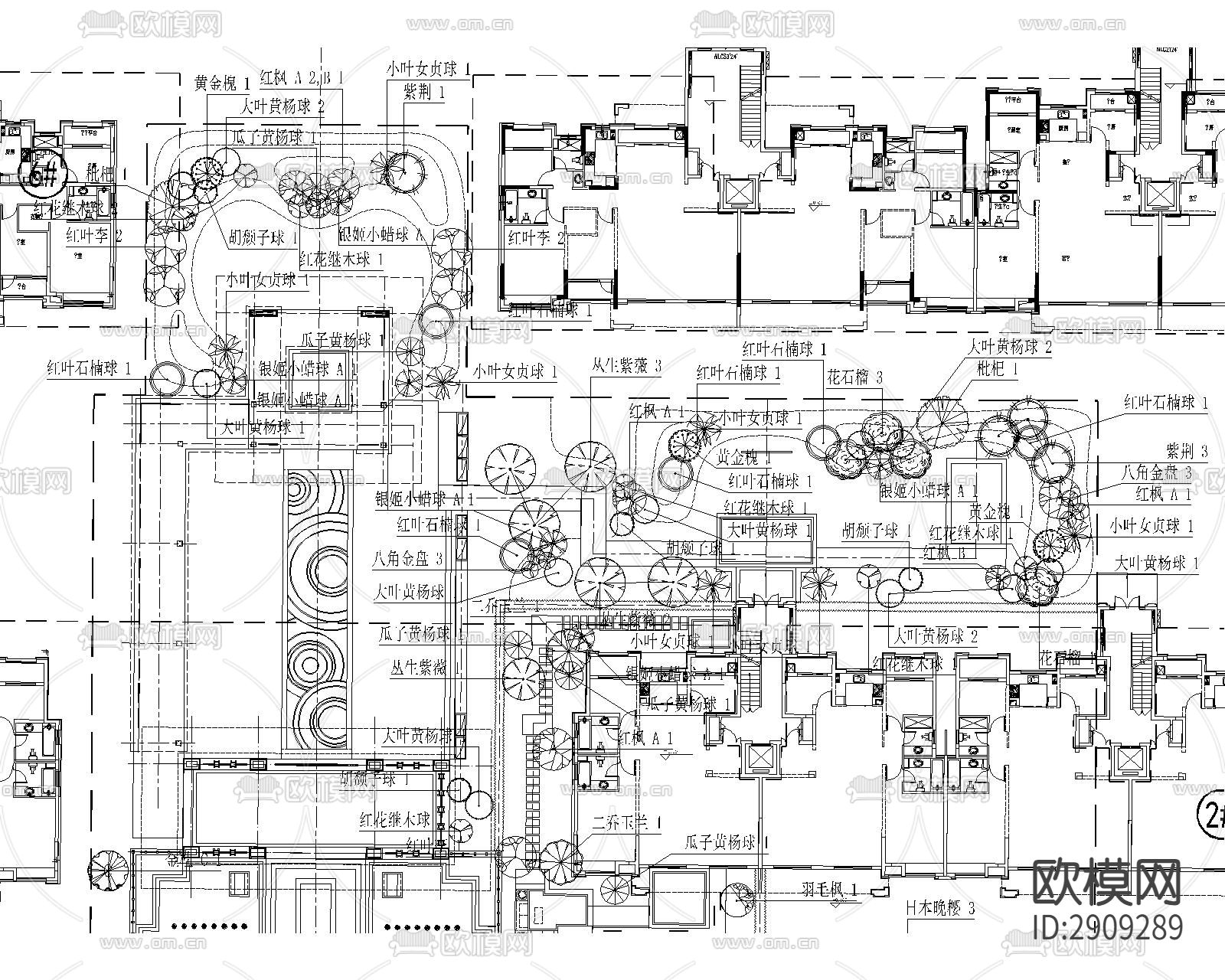 植物组图 植物景观设计下载（渲染图8）