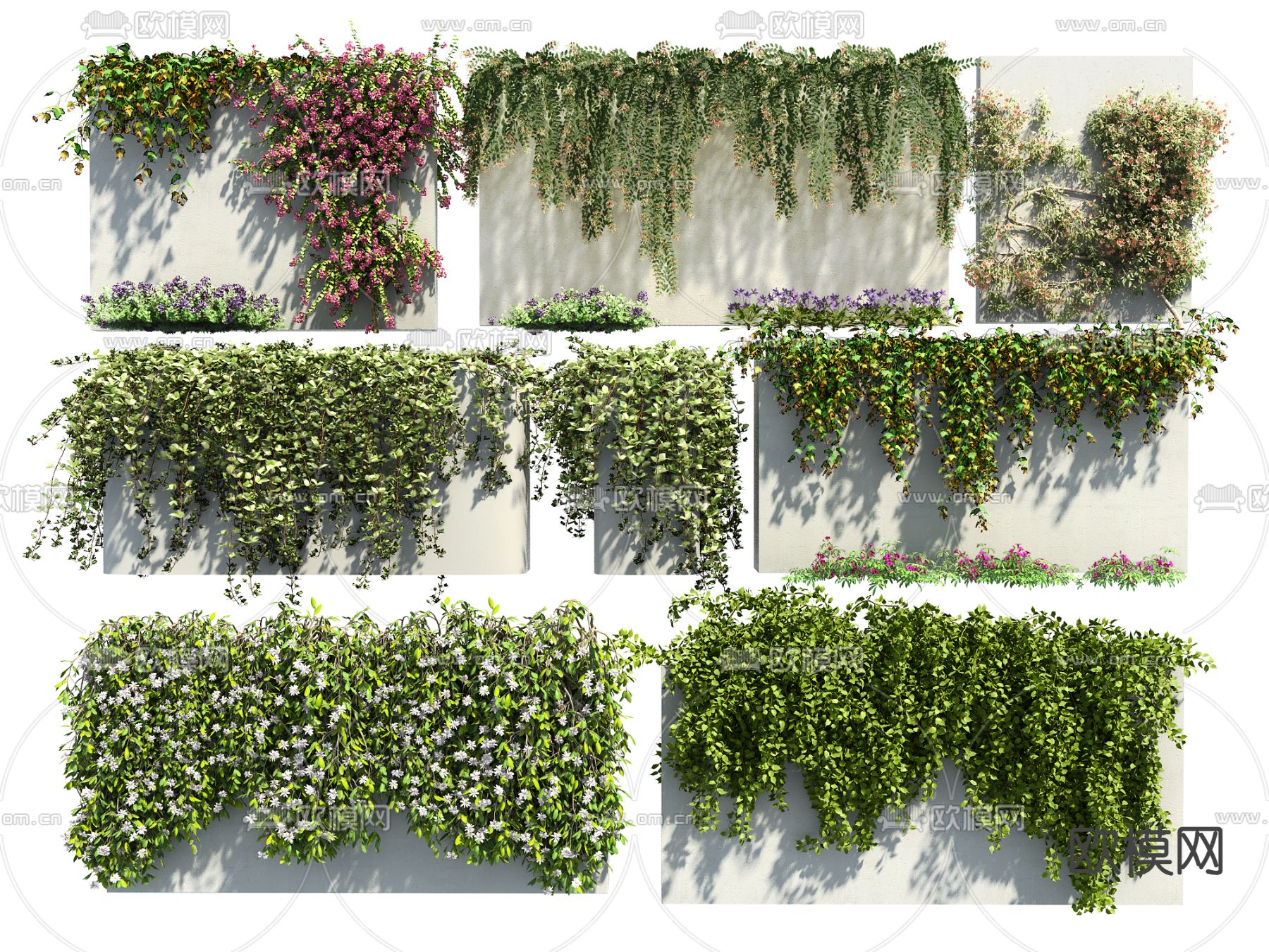 绿植藤蔓 藤蔓植物su模型下载（渲染图1）