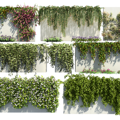  绿植藤蔓 藤蔓植物su模型 