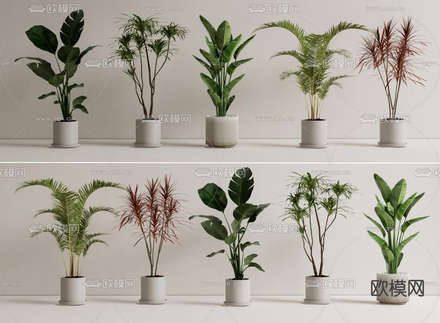 现代盆栽 盆景su模型下载（渲染图1）