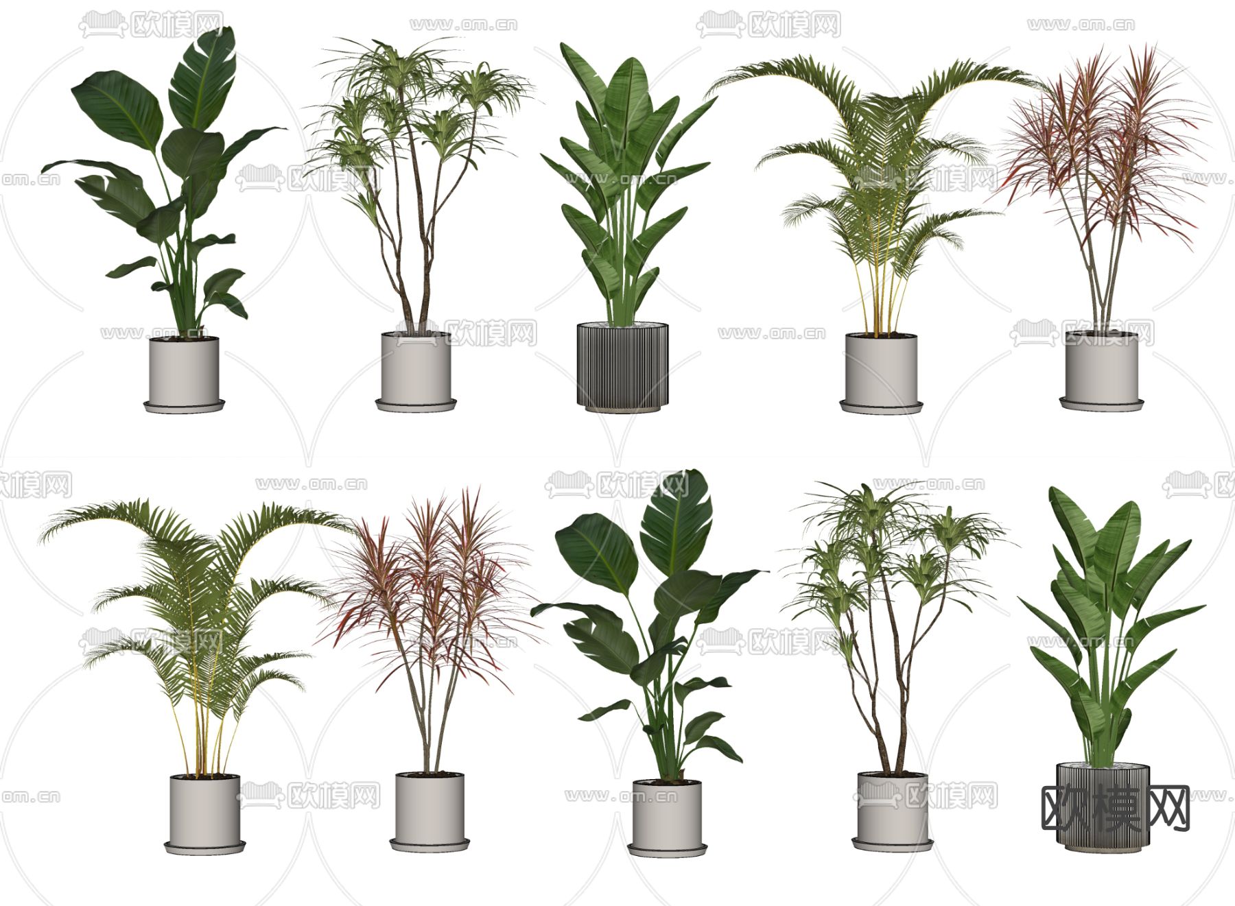 现代盆栽 盆景su模型下载（渲染图2）