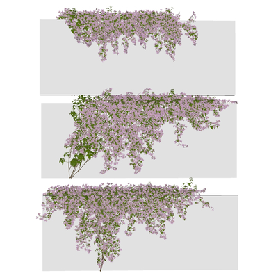  藤蔓植物围墙su模型 