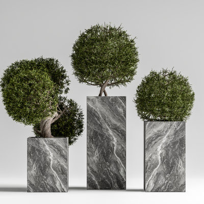 花池 花箱 盆栽su模型