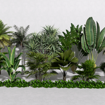  椰子树 蒲葵 散尾葵su模型 