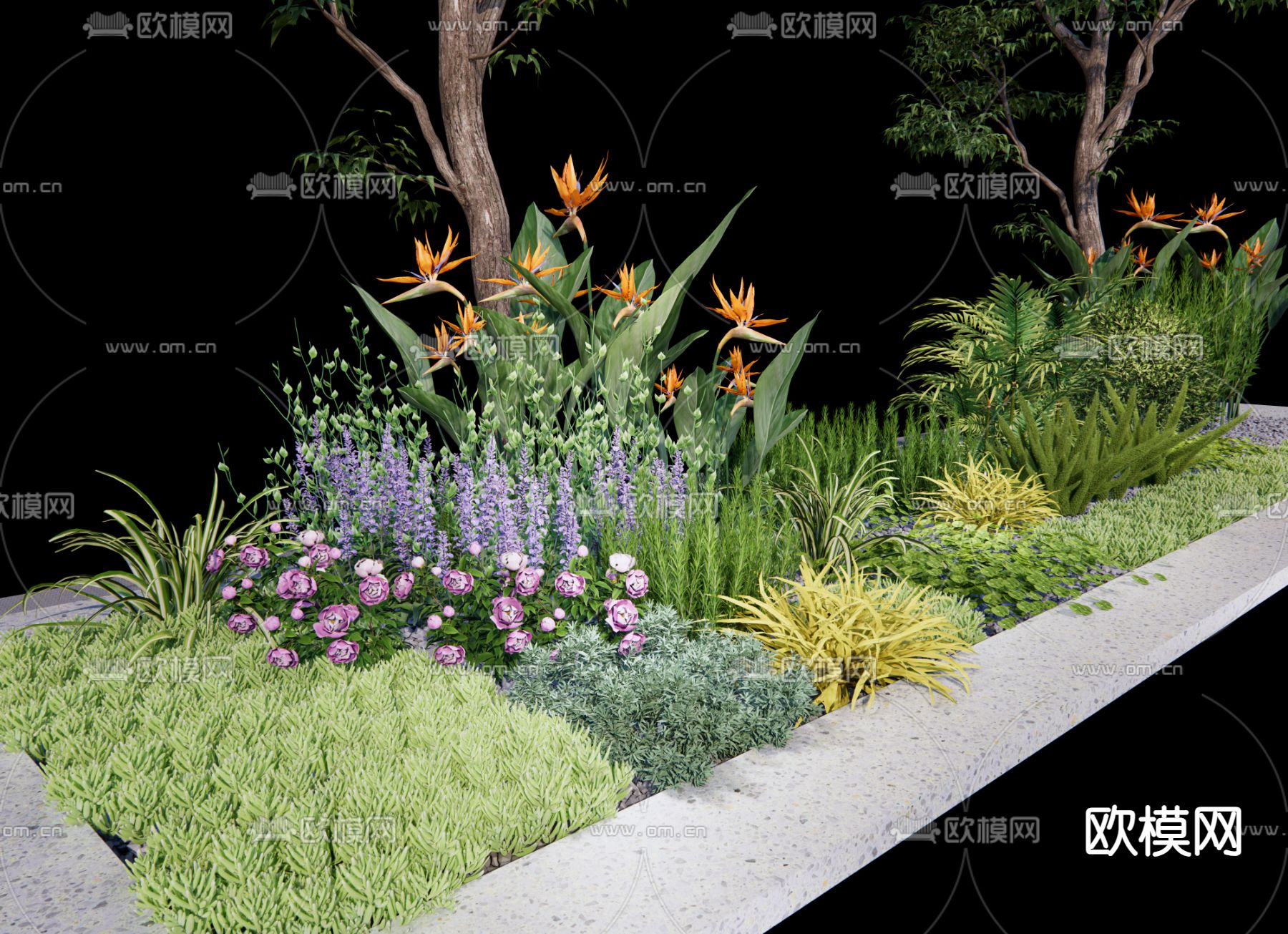 景观花镜 观赏草植物su模型下载（渲染图1）