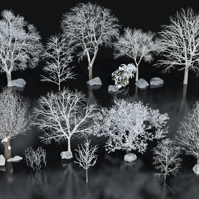  冬景树 冬季树 景观树su模型 