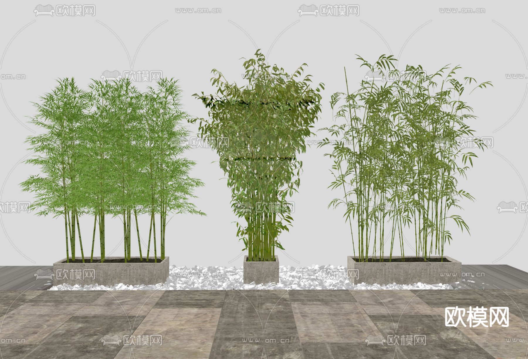 现代景观竹 仿真竹su模型下载（渲染图2）