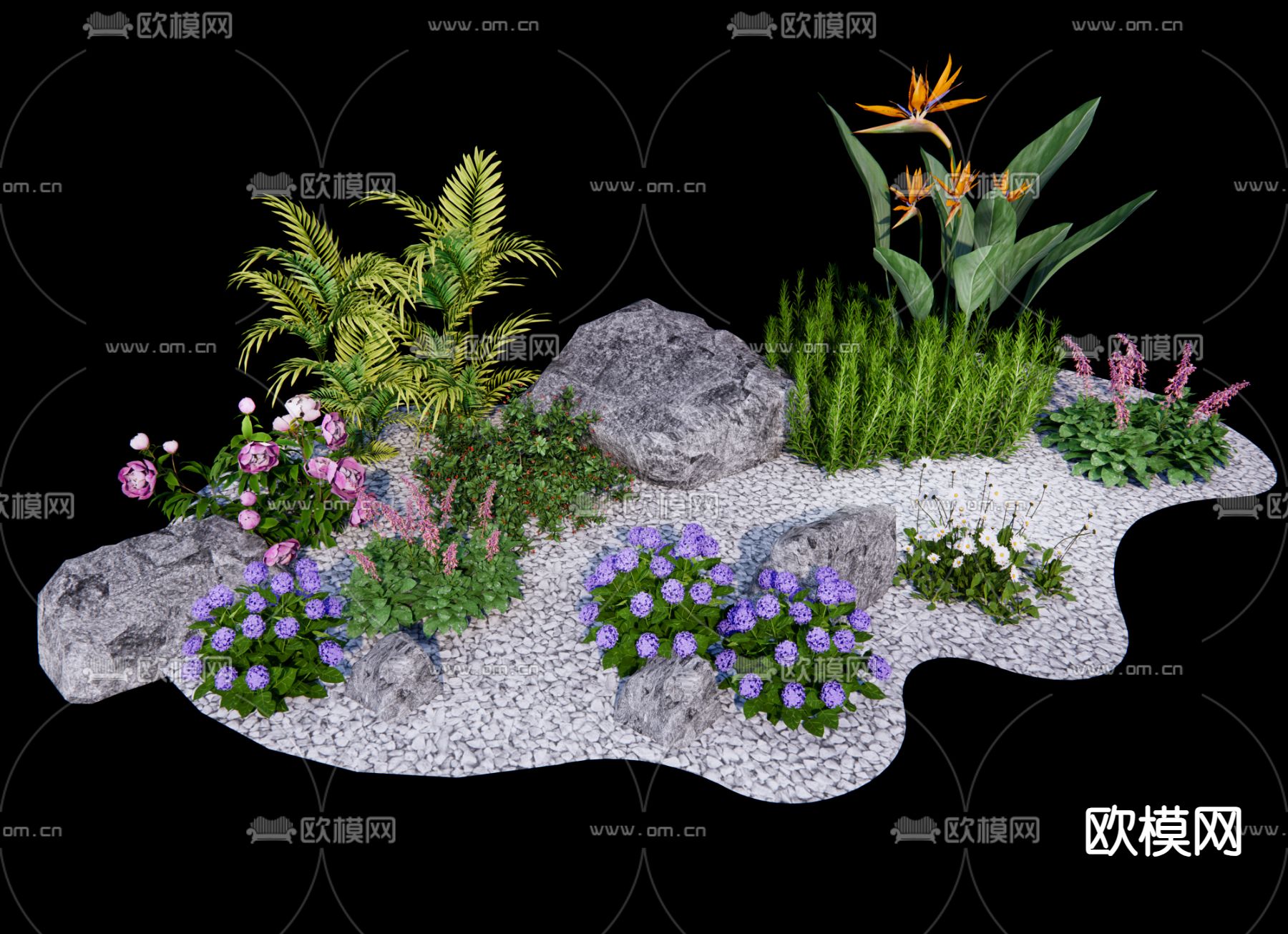 观赏草 鹤望兰 迷迭su模型下载（渲染图1）