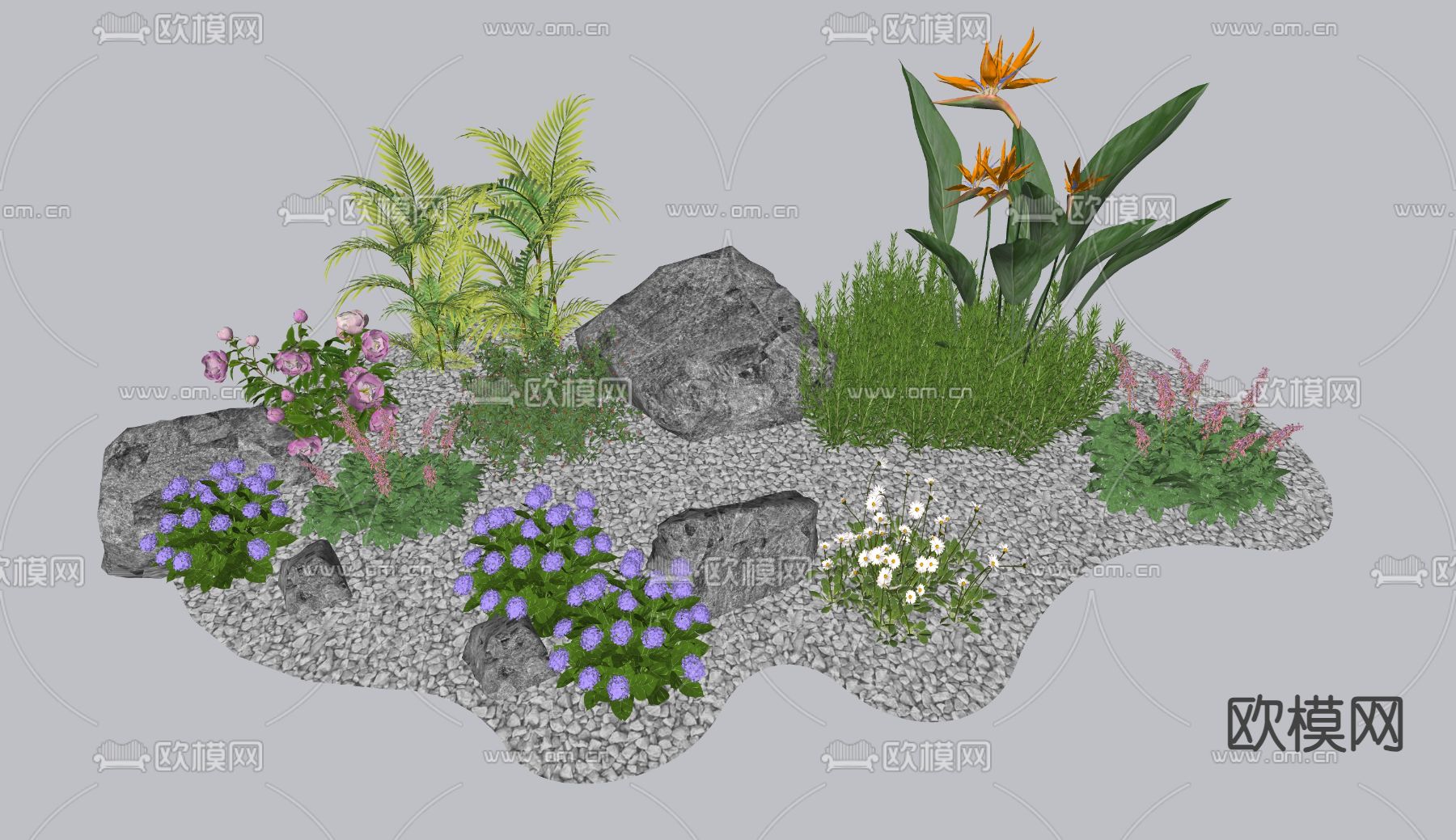 观赏草 鹤望兰 迷迭su模型下载（渲染图2）