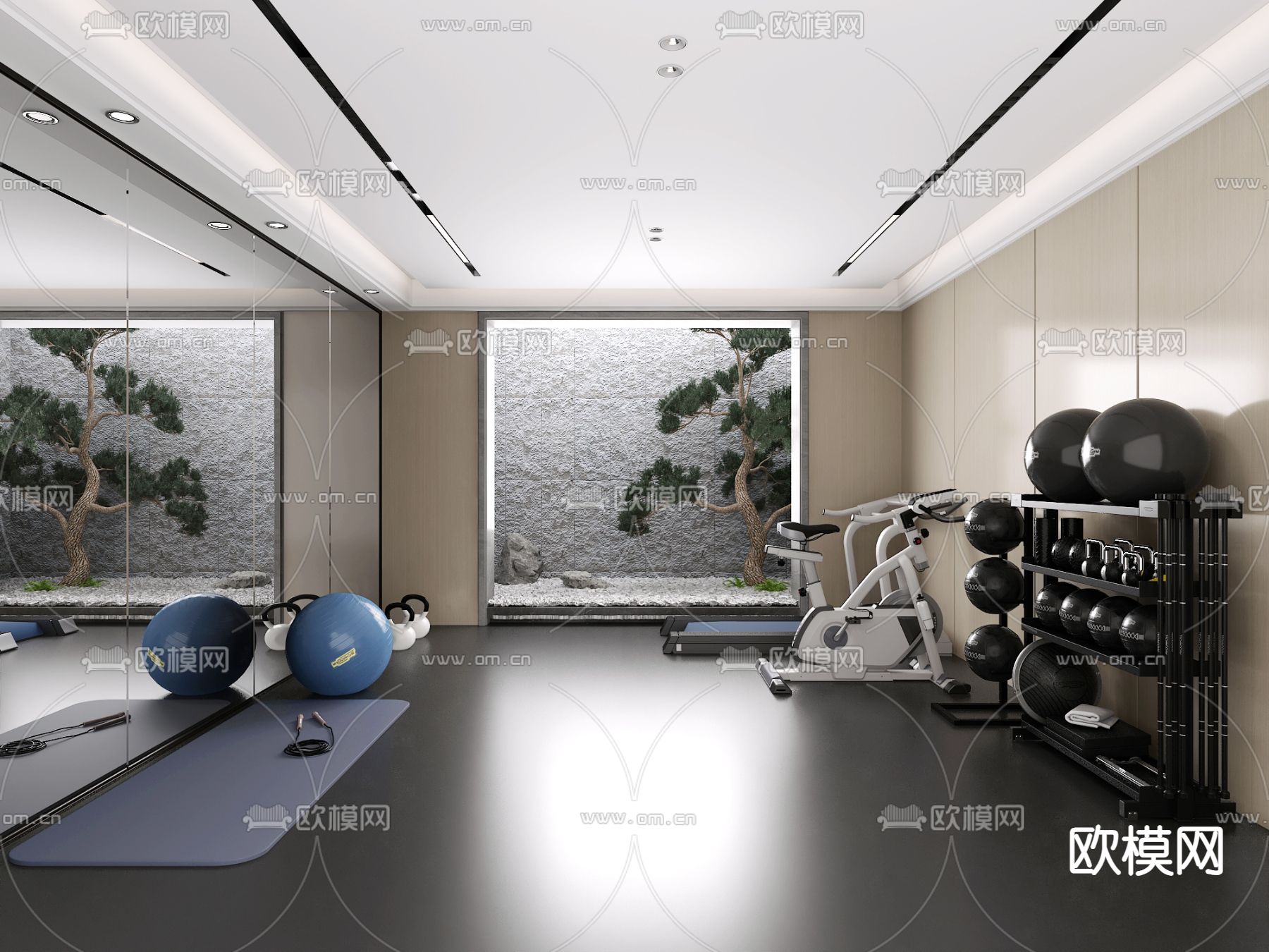 现代休闲室 健身房3d模型下载