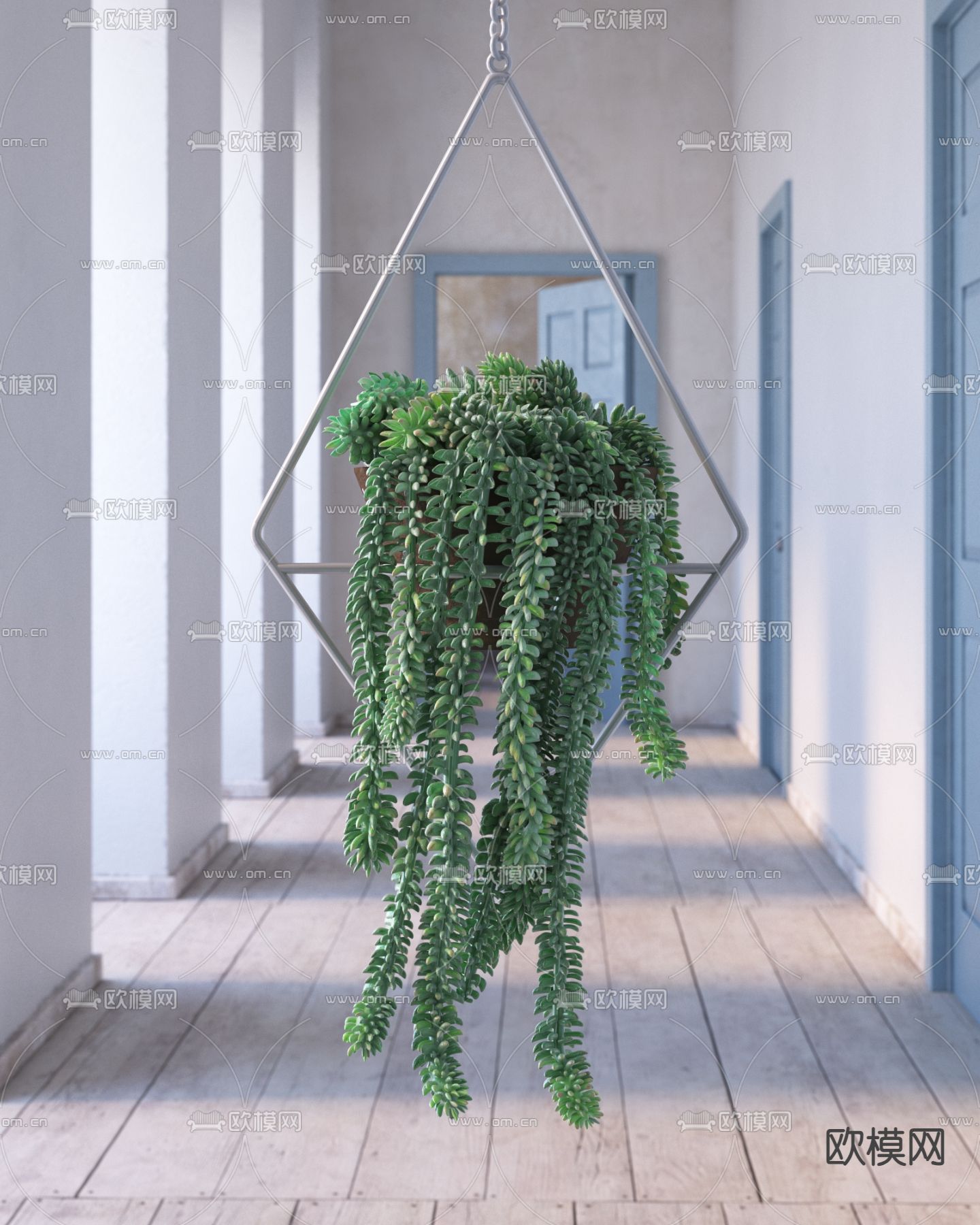 翡翠珠 吊篮 悬挂盆栽3d模型下载