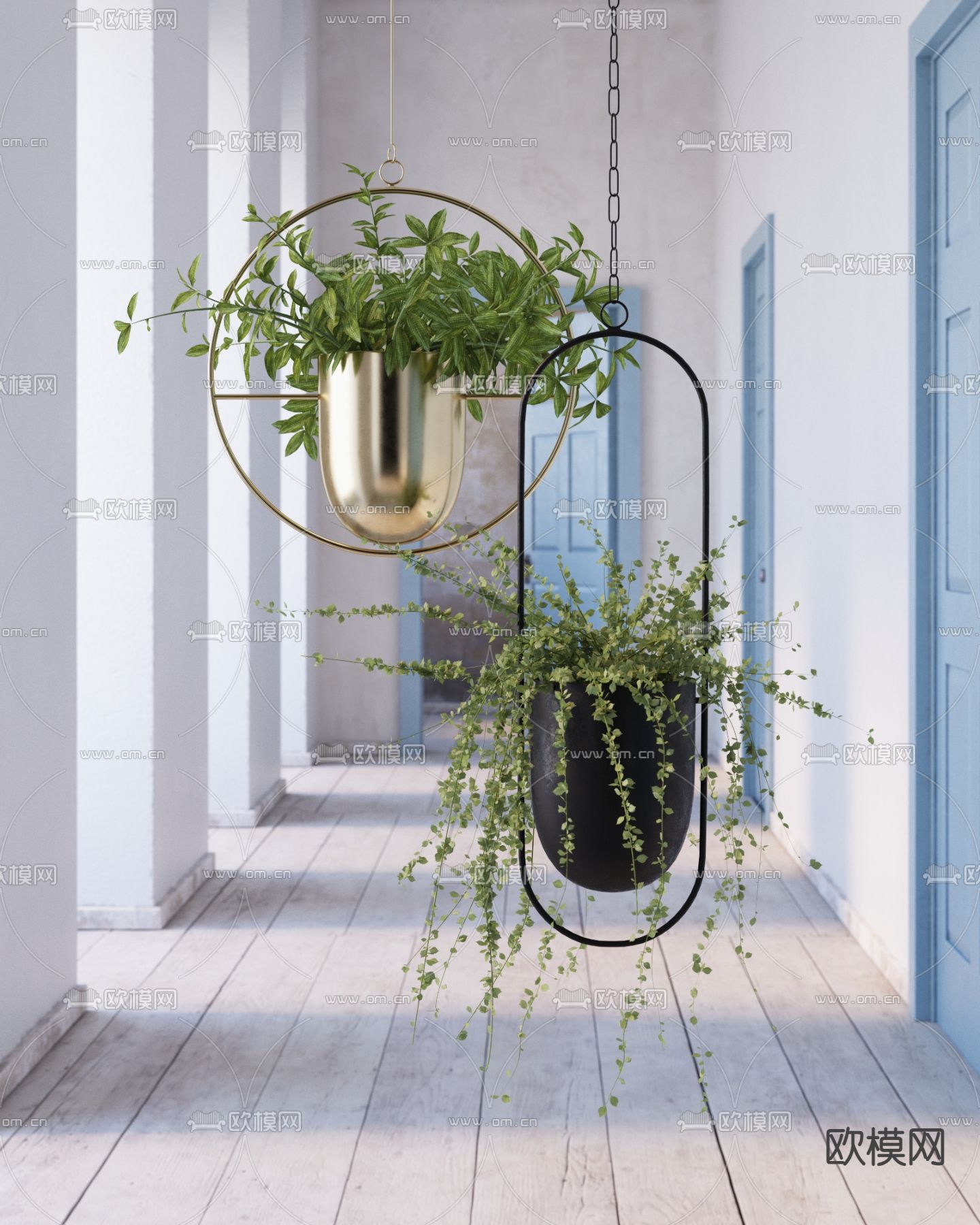 吊篮 吊兰 盆栽3d模型下载