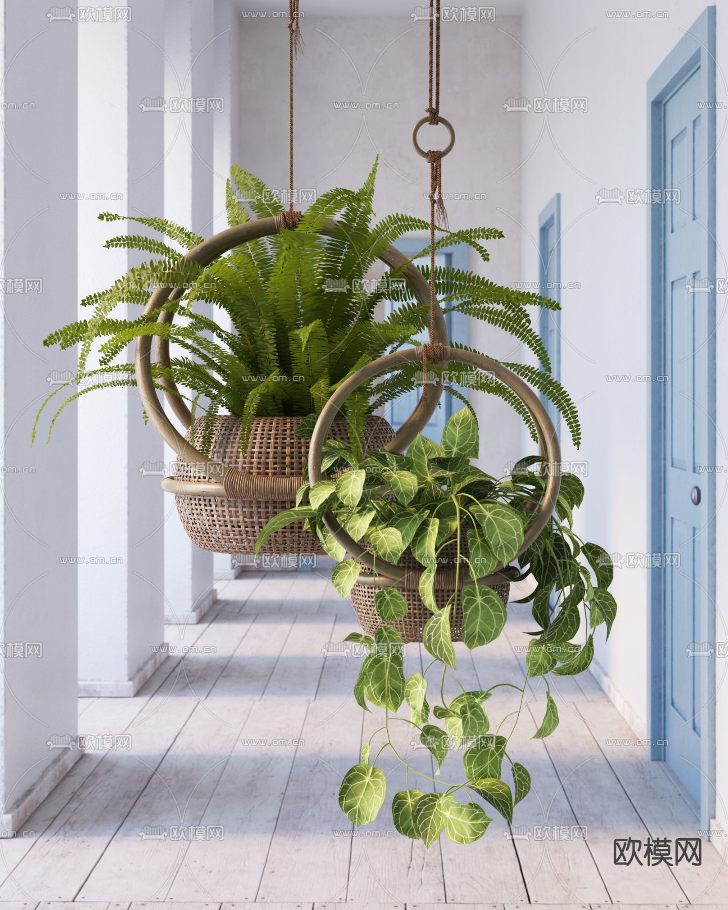吊篮 蕨类绿植 绿萝3d模型下载