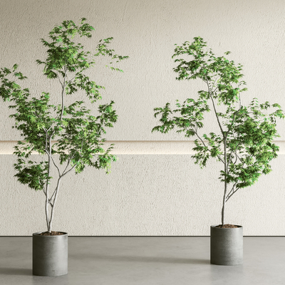 盆栽 盆景su模型