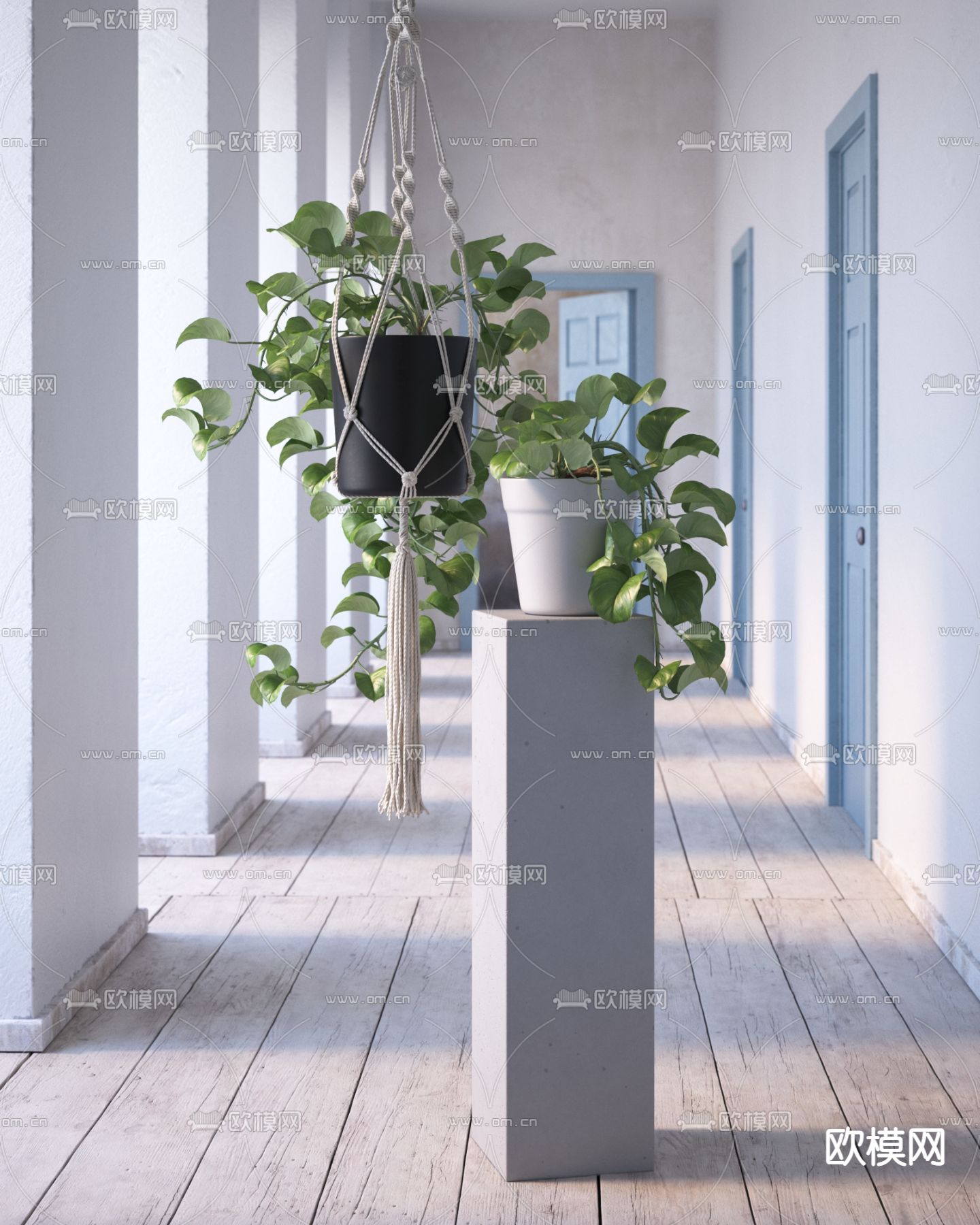 绿萝 吊篮 悬挂盆栽3d模型下载