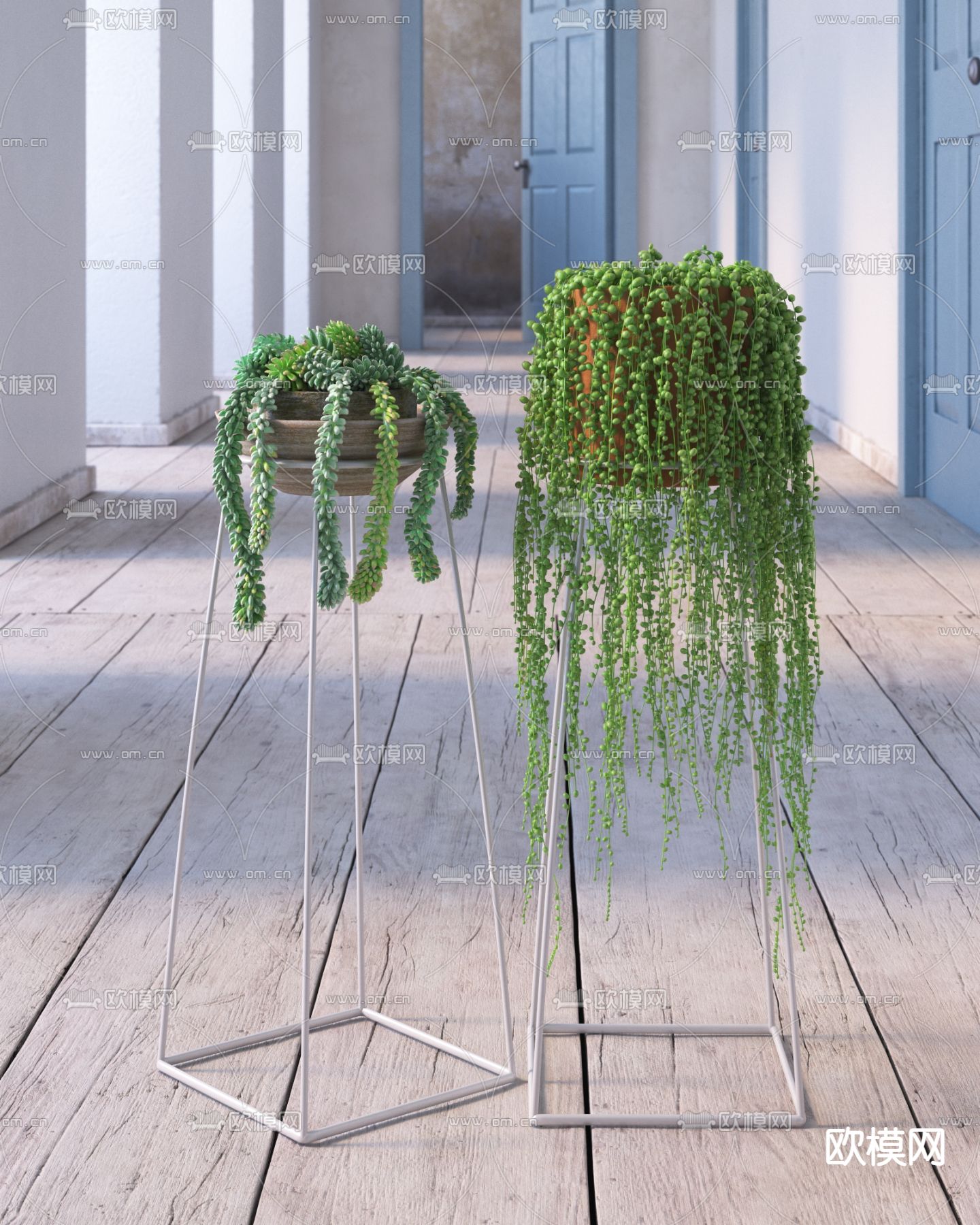 翡翠珠 吊篮 悬挂盆栽3d模型下载