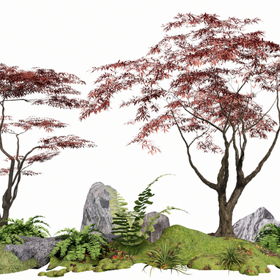  红枫 景观树su模型 