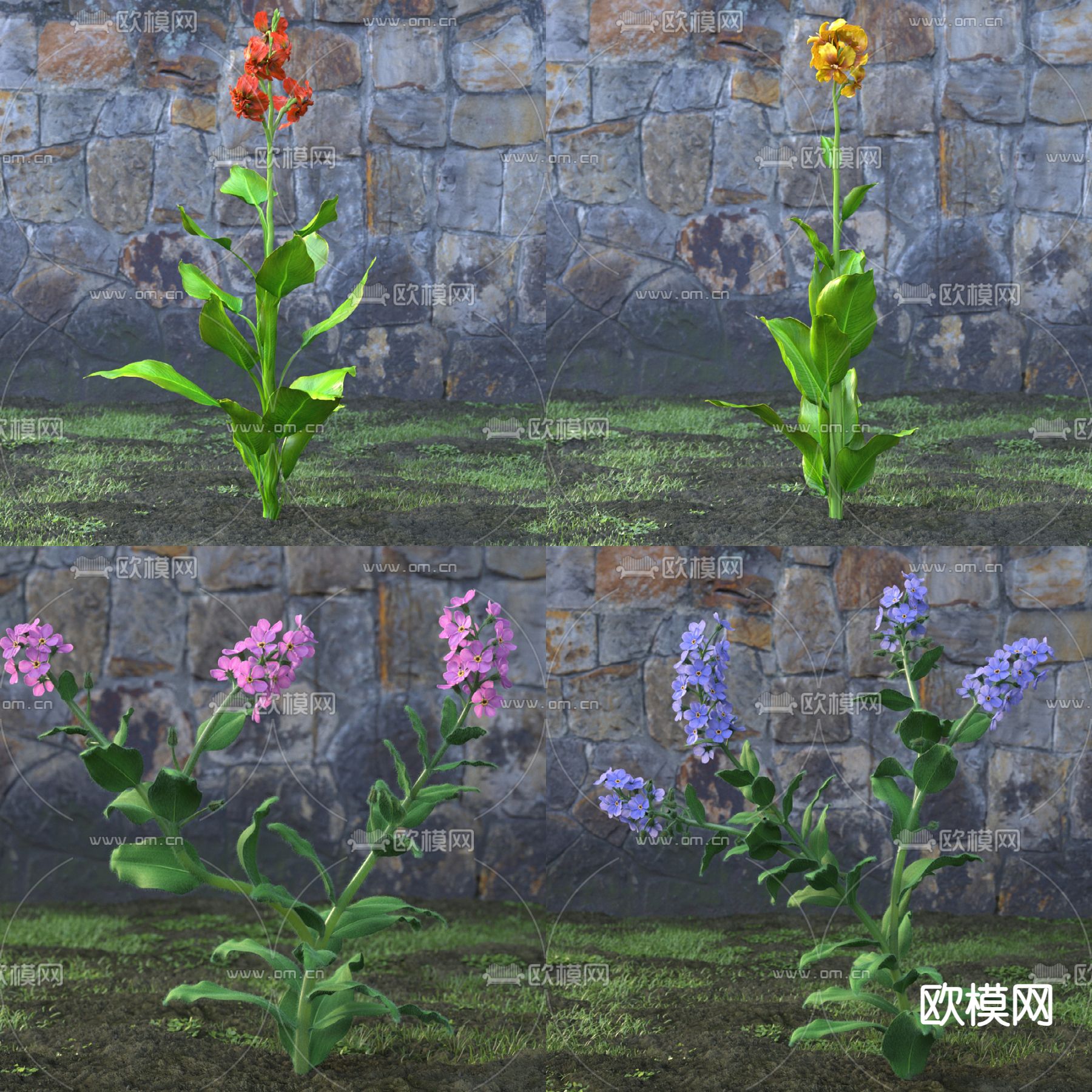 野花 花草3d模型下载