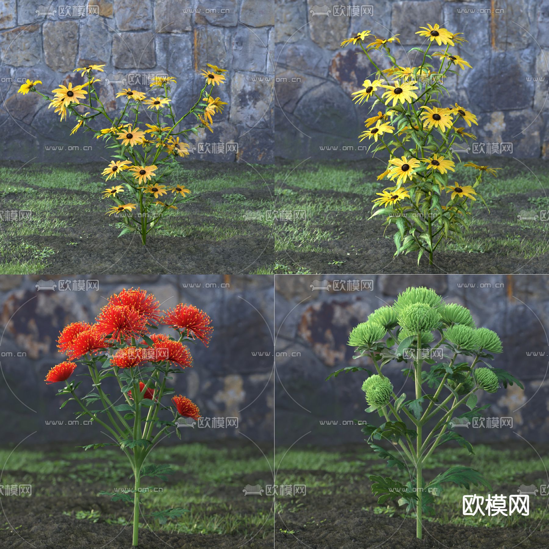 花草 野花3d模型下载