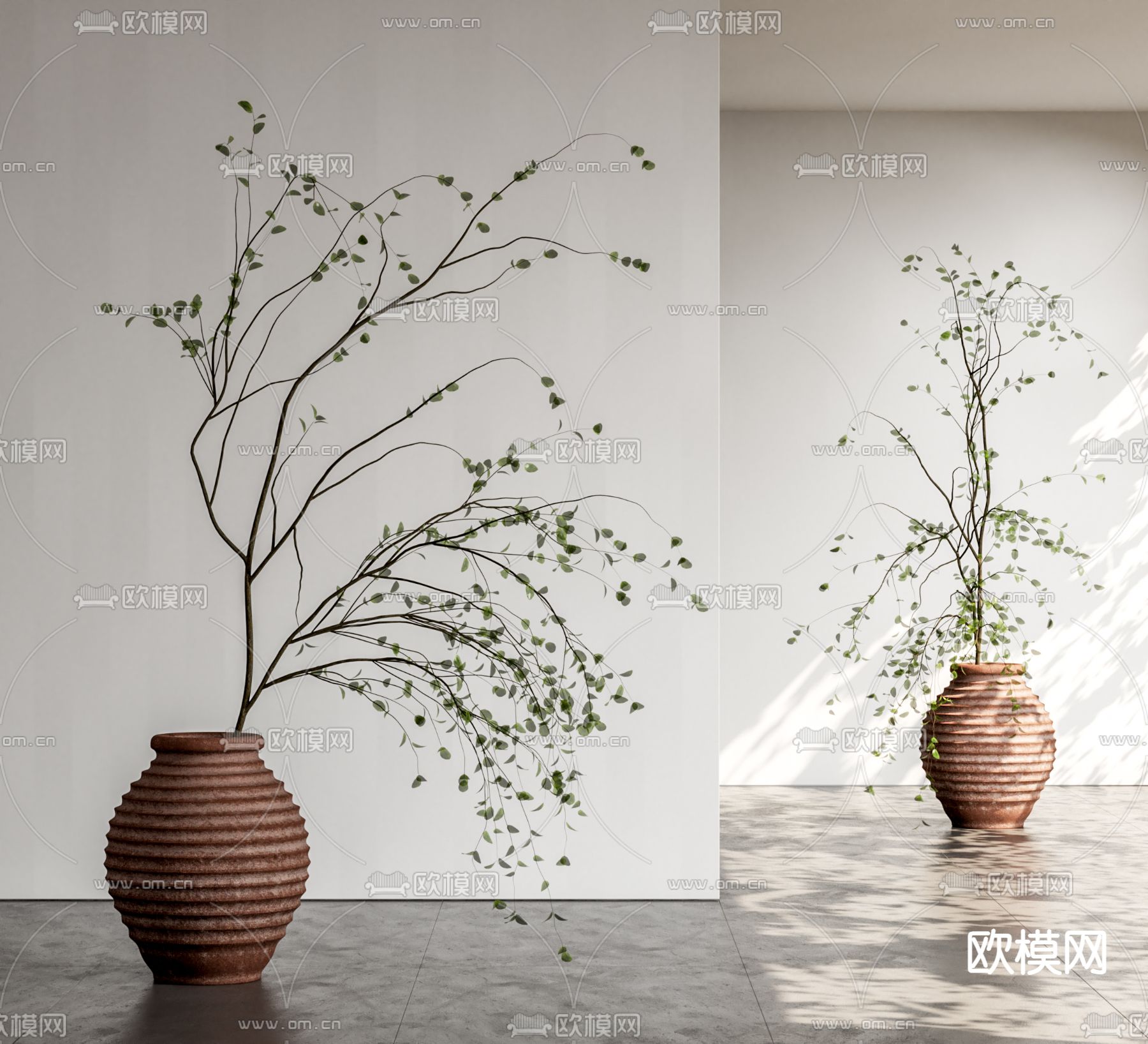 侘寂陶罐 水生植物 水培绿植3d模型下载