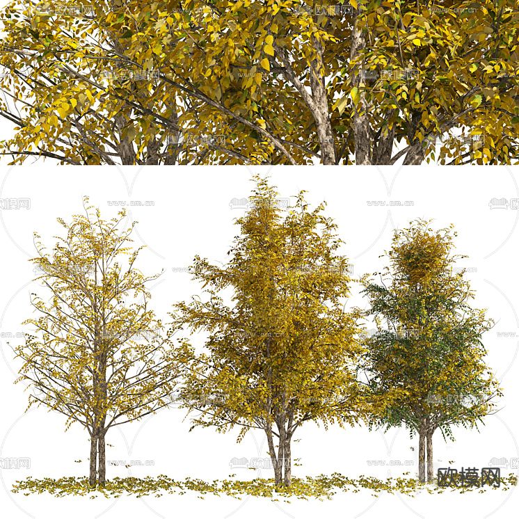 秋叶树 黄叶树 景观树 大树免费3d模型下载