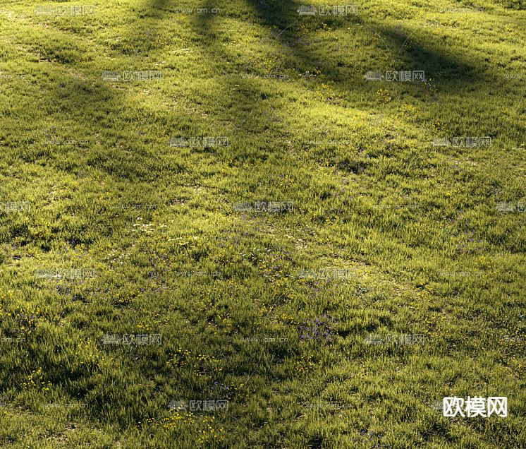 草坪 草地 免费3d模型下载