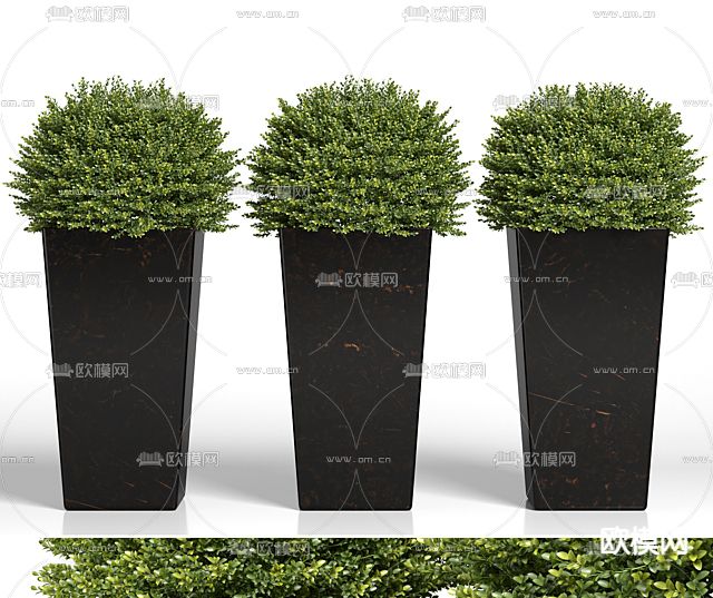 圆灌木 户外花箱 花钵免费3d模型下载