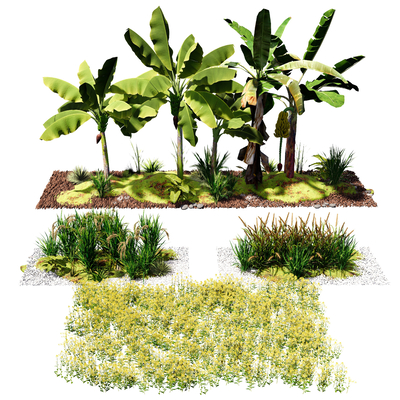 农作物 香蕉树 水稻 小麦 油菜花su模型