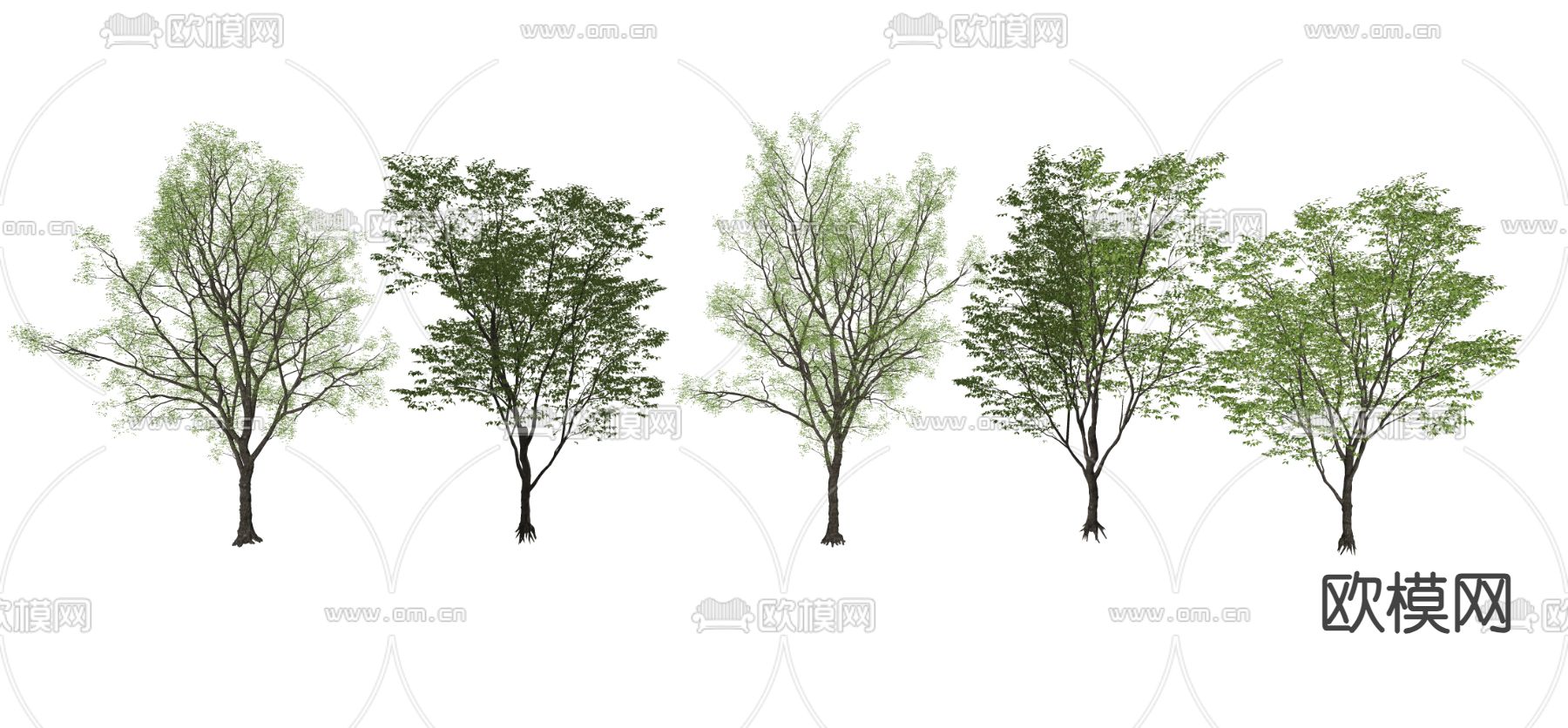 大树 景观树 园林树 庭院树 乔木树su模型下载（渲染图1）