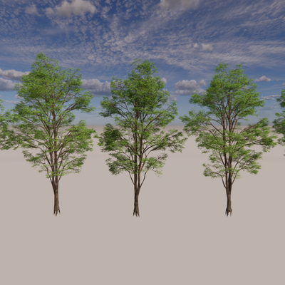  大树 景观树 园林树 庭院树 乔木su模型 