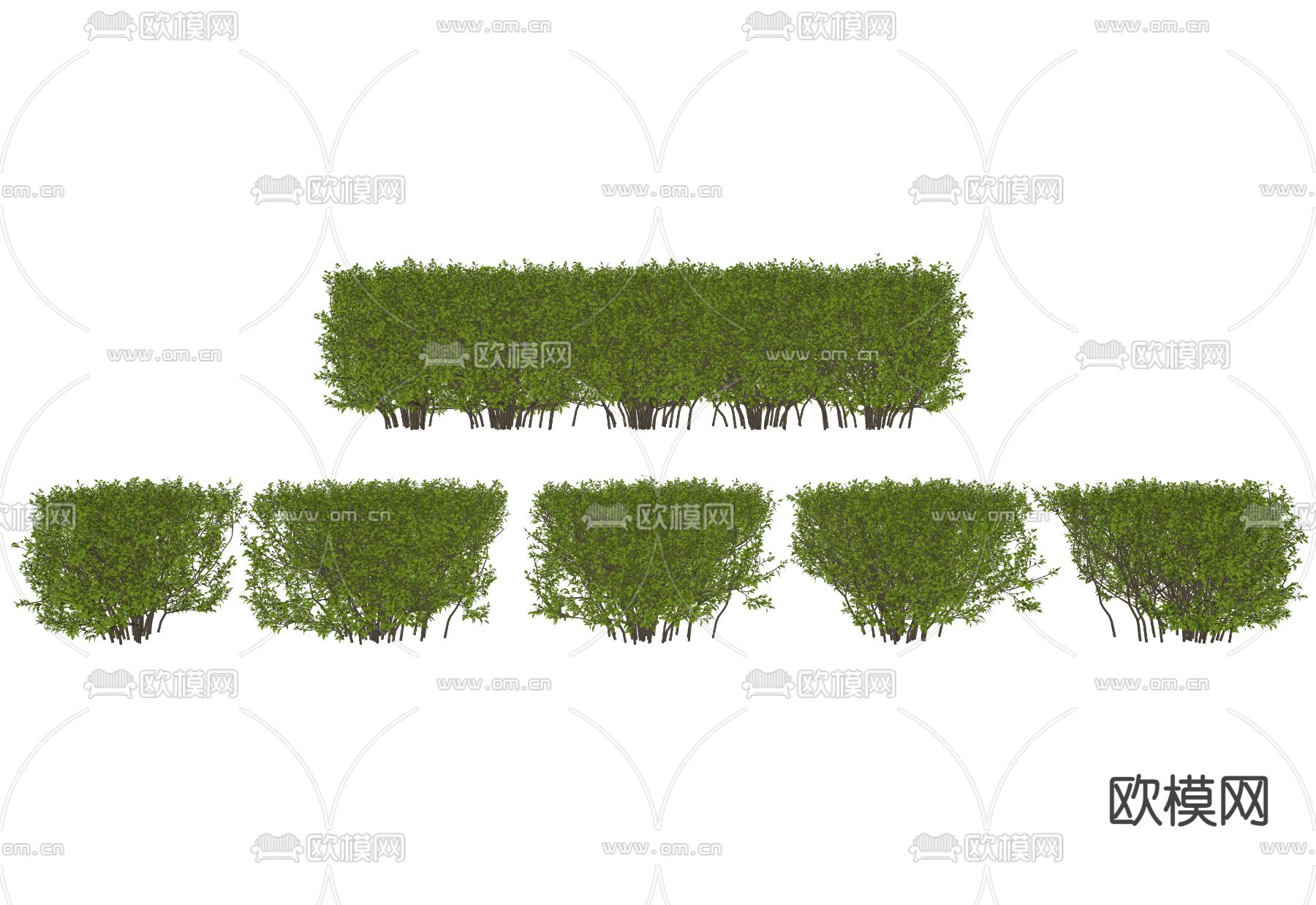 灌木 植物堆 植物围墙su模型