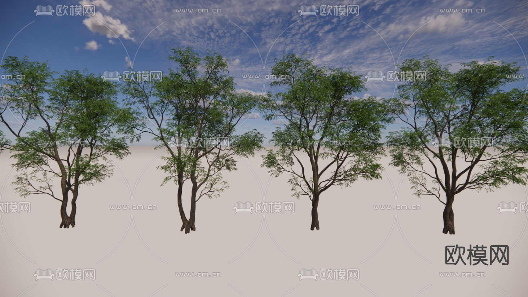 大树 景观树 园林树 乔木su模型下载（渲染图1）