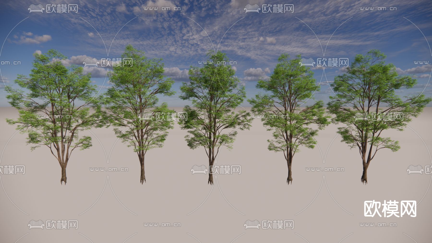 大树 景观树 园林树 庭院树 乔木su模型下载（渲染图1）