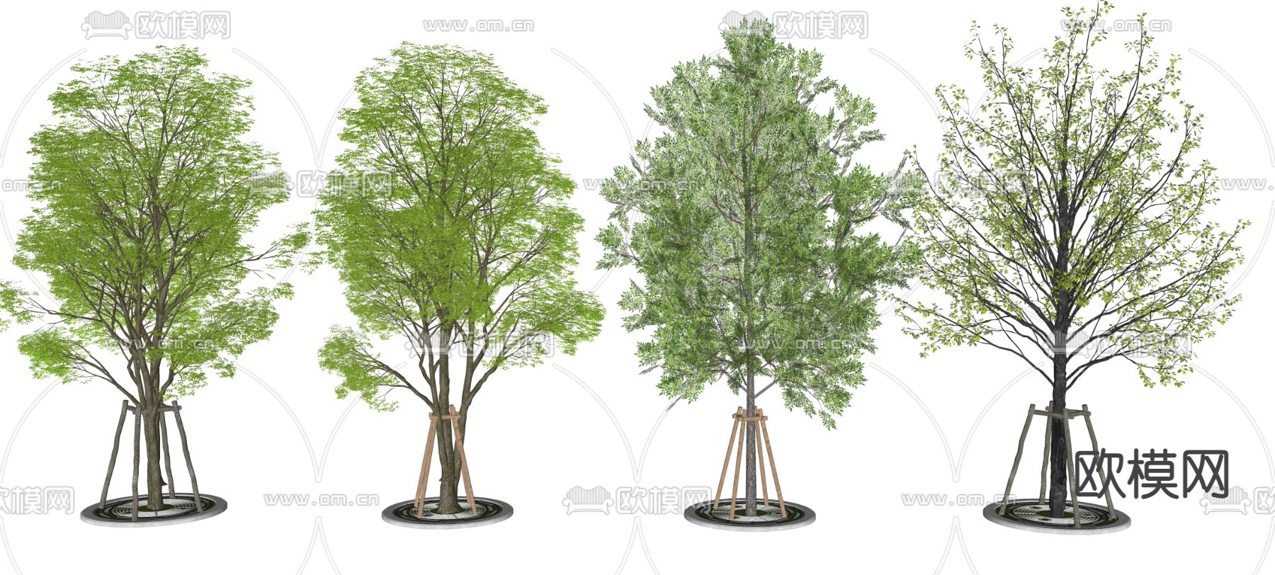 大树 景观树 园林树 乔木树su模型下载（渲染图2）