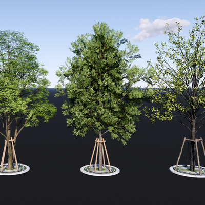 大树 景观树 园林树 乔木树su模型 