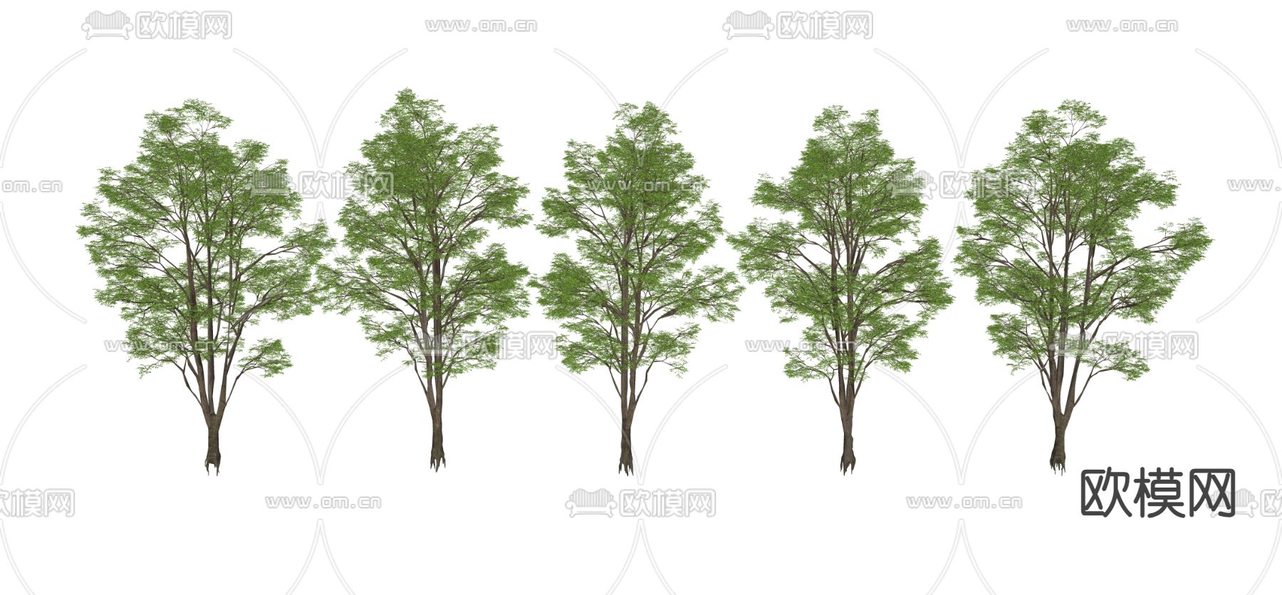 大树 景观树 园林树 庭院树 乔木su模型下载（渲染图2）