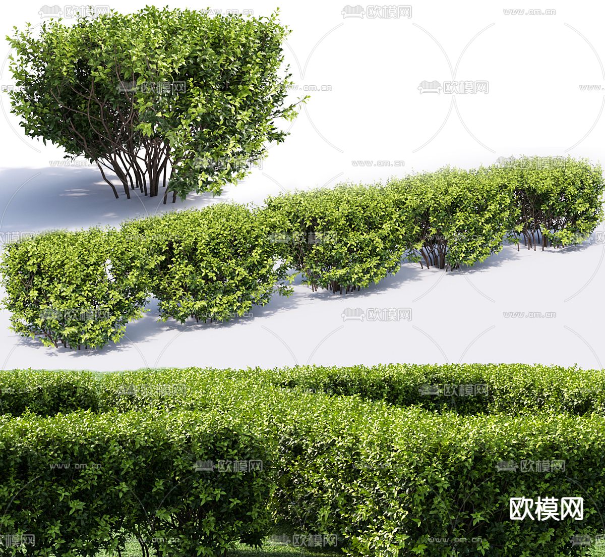 灌木 植物堆 植物围墙su模型