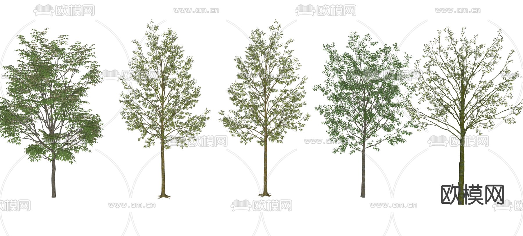 大树 景观树 园林树 乔木树su模型下载（渲染图2）