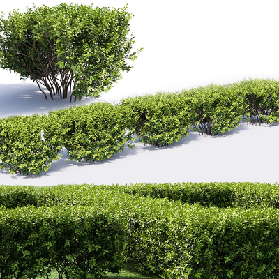 灌木 植物堆 植物围墙su模型