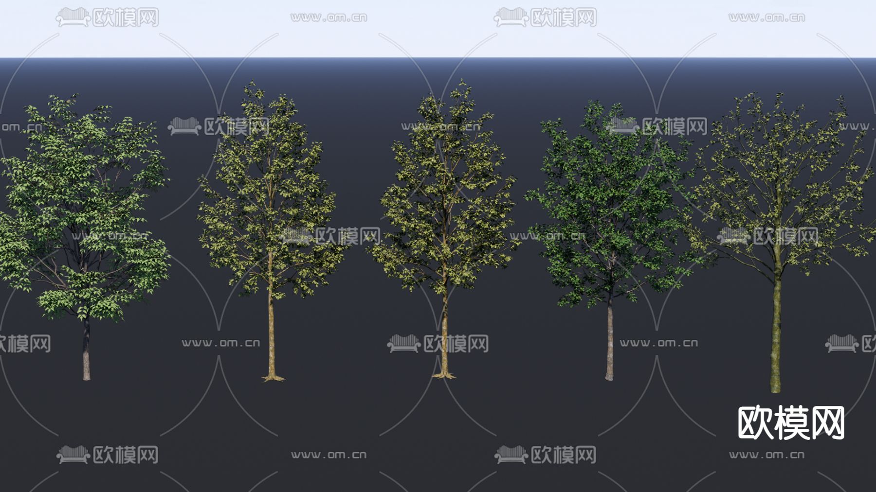 大树 景观树 园林树 乔木树su模型下载（渲染图1）
