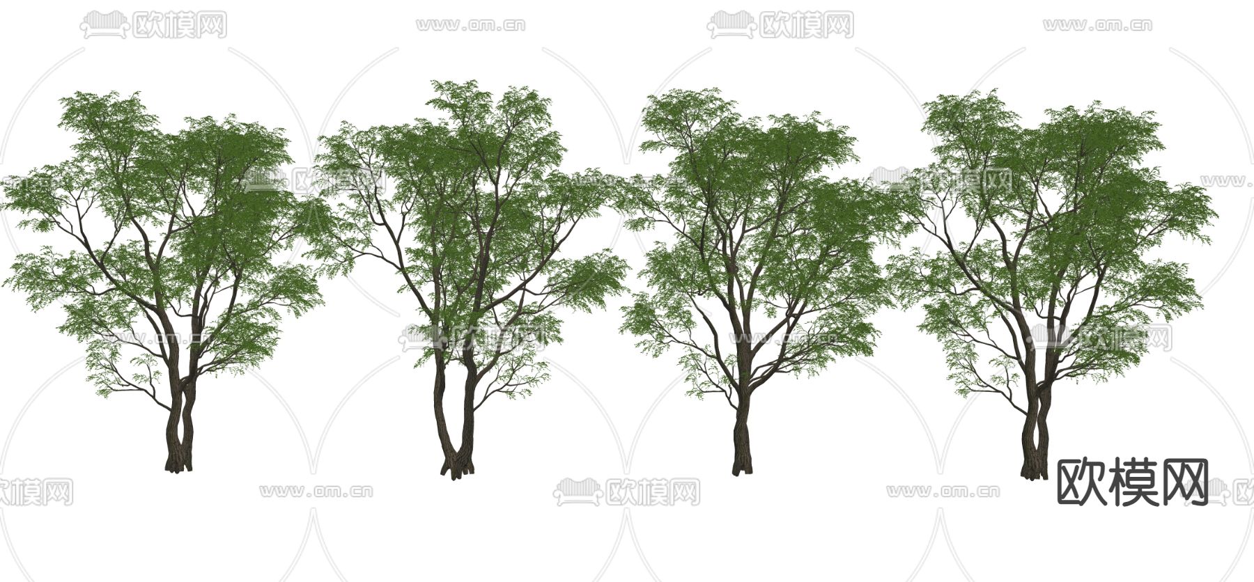 大树 景观树 园林树 乔木su模型下载（渲染图2）