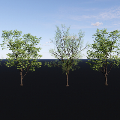  大树 景观树 园林树 庭院树 乔木树su模型 