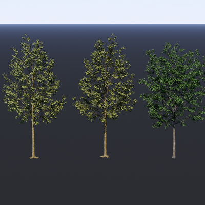  大树 景观树 园林树 乔木树su模型 