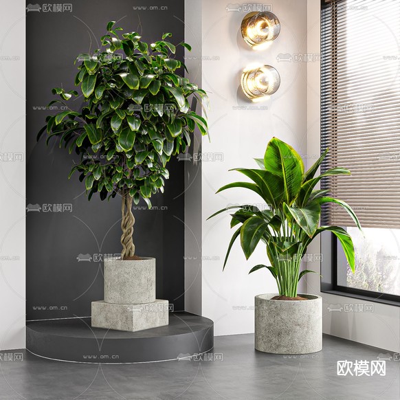 盆栽 盆景 绿植3d模型下载