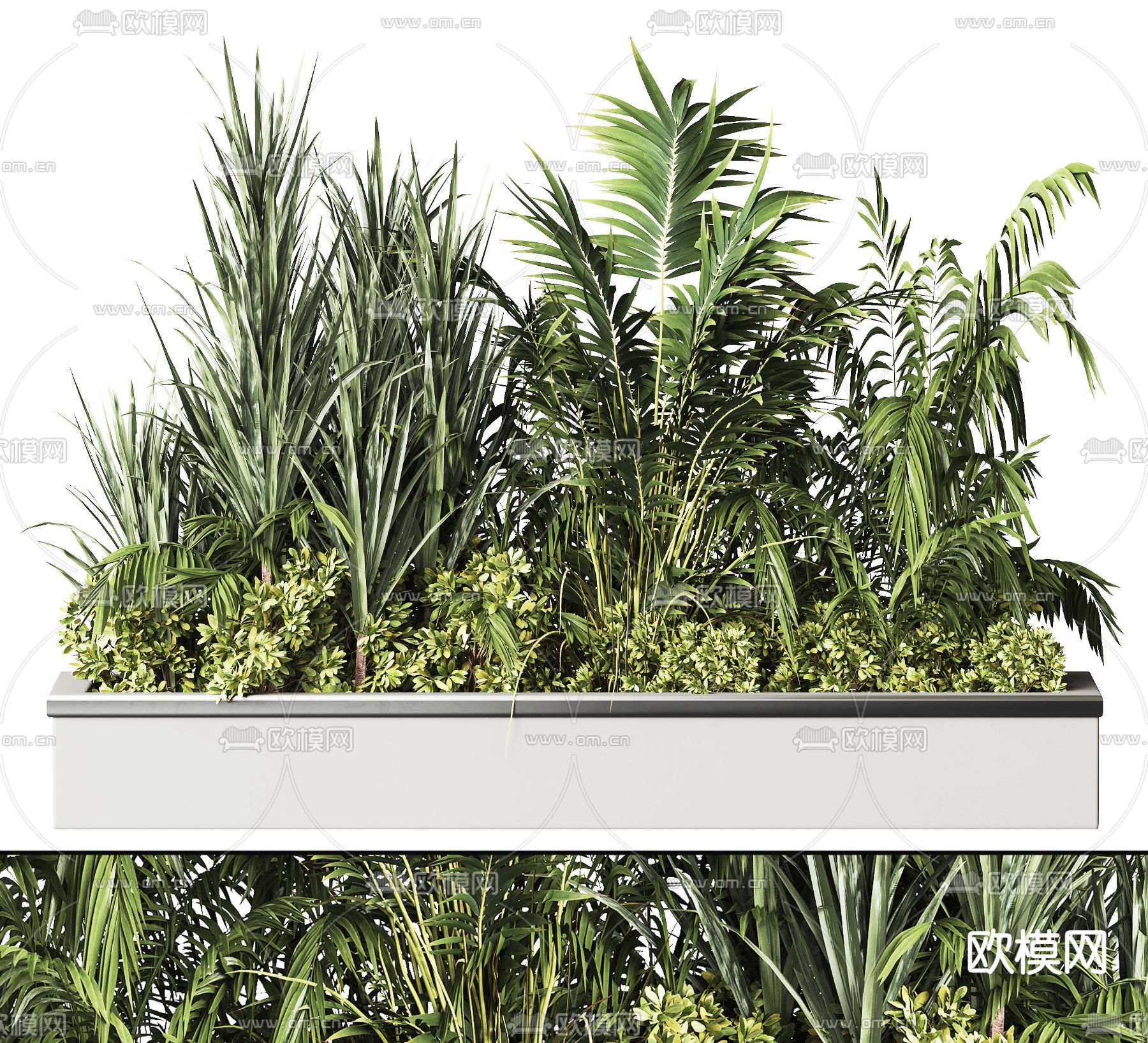 植物堆 花箱su模型下载（渲染图2）