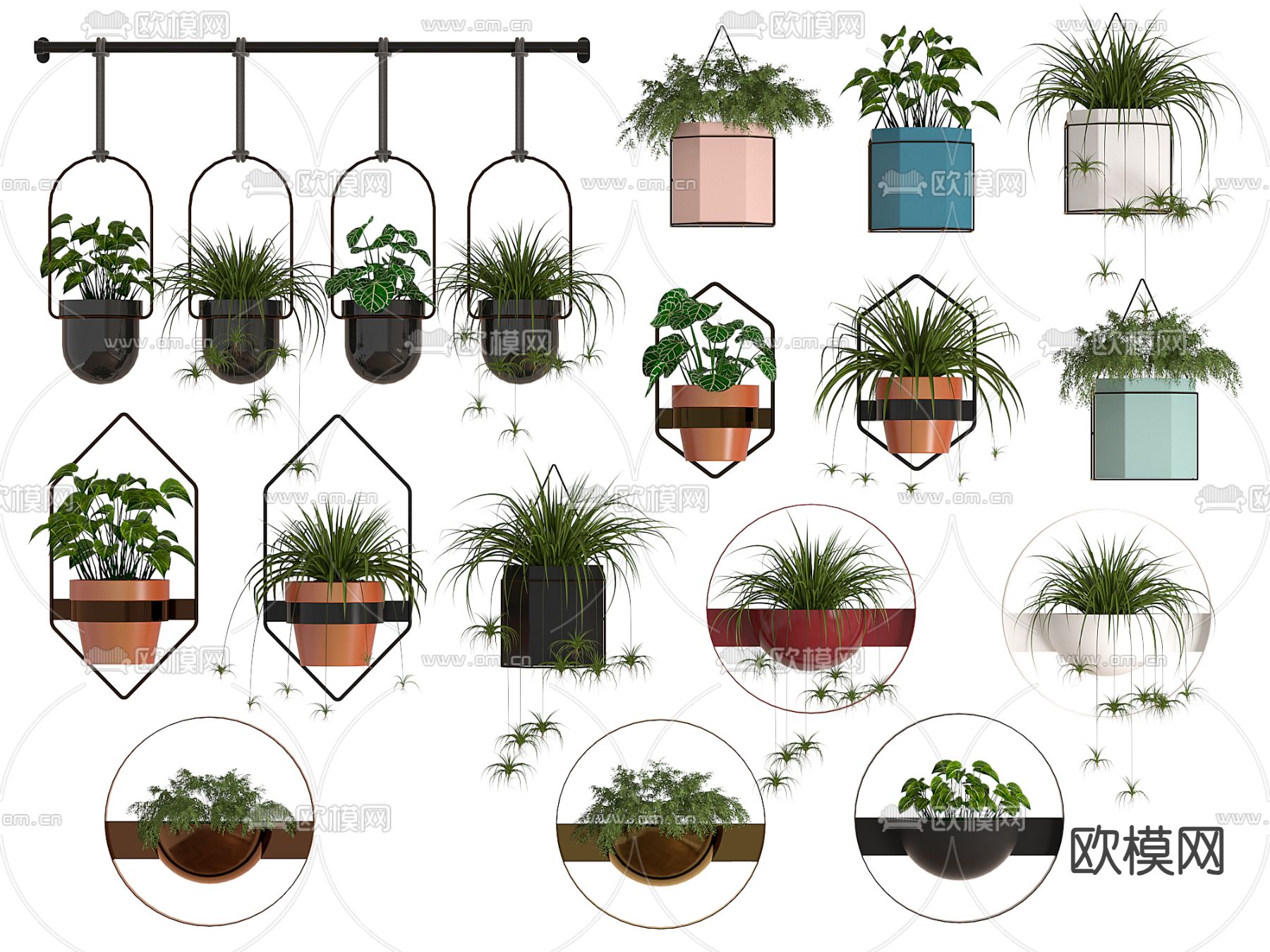 吊篮 吊兰 悬挂植物3d模型下载